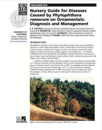 link to nursery guide for diseases caused by P. ramorum on ornamentals