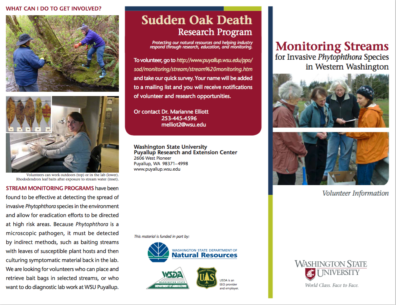 link to brochure about monitoring streams and how to volunteer.
