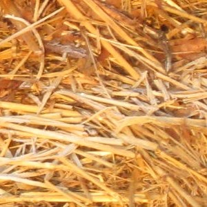 Straw compost feedstock photo.