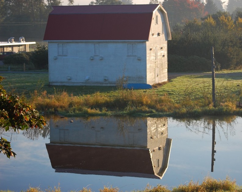 White barn reflected in a pond