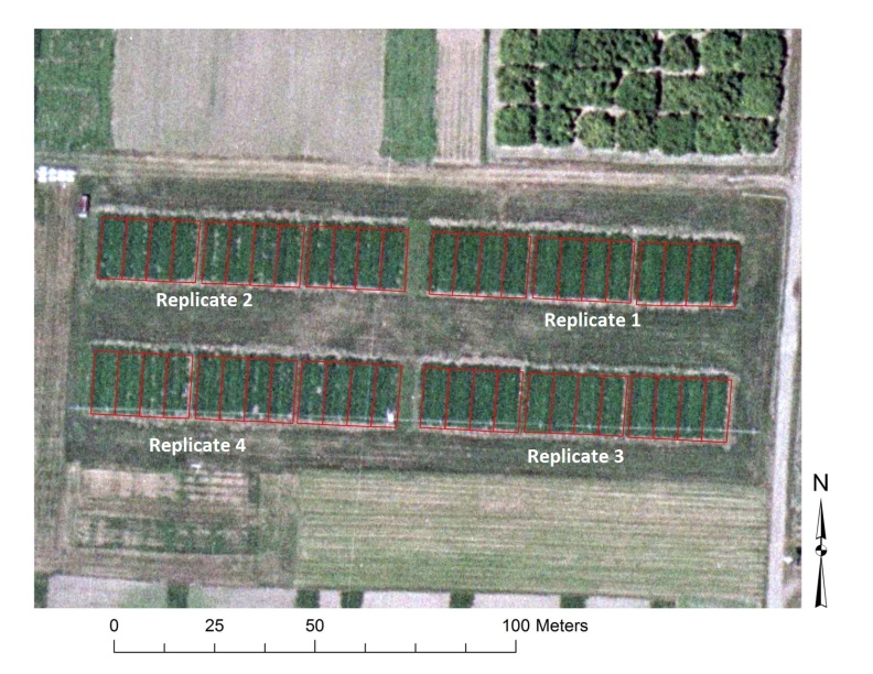 Overhead photo of Organic Farming Systems field showing different crops outlined by red lines.