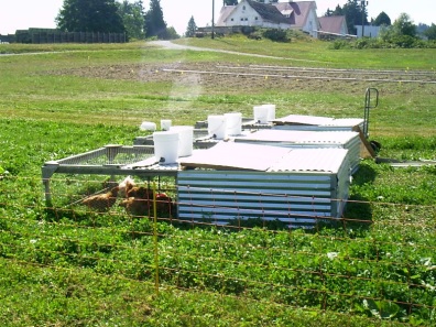 Photo of Pasture Poultry Cages in field showing water buckets on top.