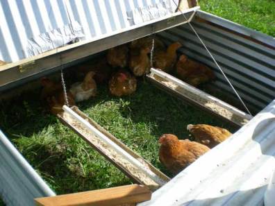 Photo of Pasture Poultry Cage showing hanging gutter trough feeders.