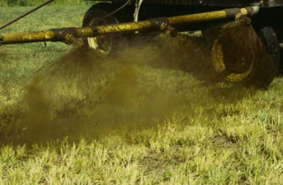 Supercow Liquid Manure Applicator spraying research forage plots.