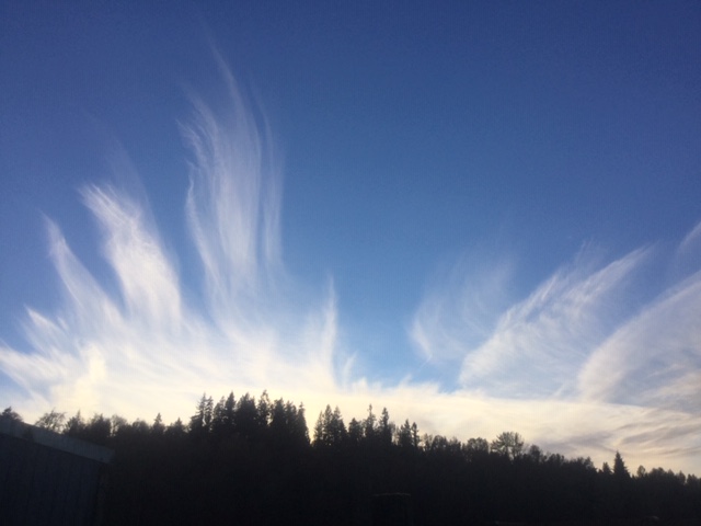 Whispy clouds coming over a tree-lined ridge