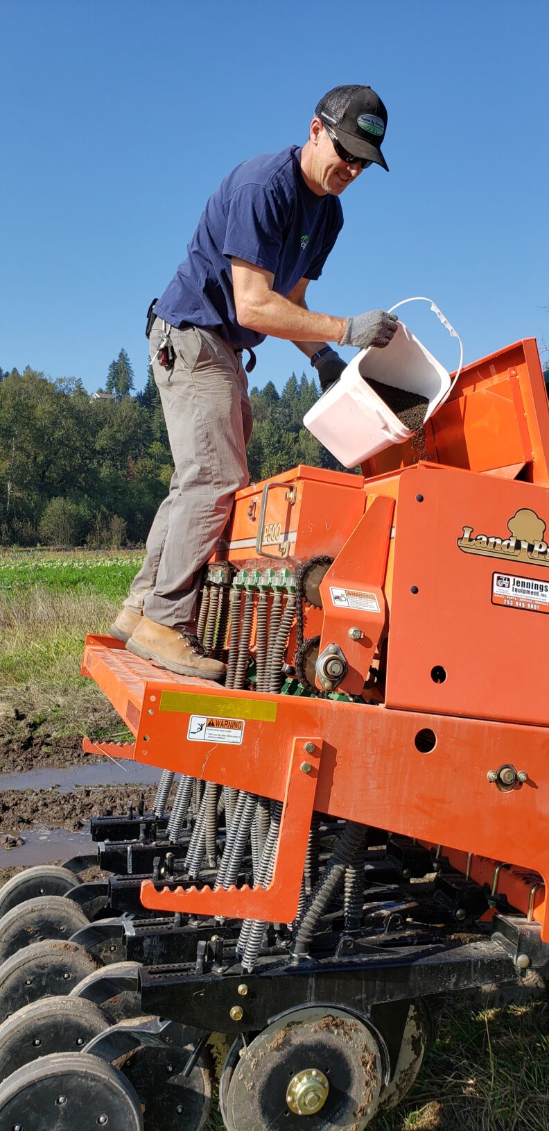 Person standing on the back of a tractor pouring cover crop seed into the hopper of a seed drill.