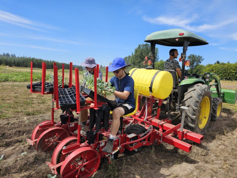 Two people sitting on seats mounted on the back of a tractor as part of the transplanter attachment. They are ready to drop broccoli plants through the transplanter when the tractor driver starts. 