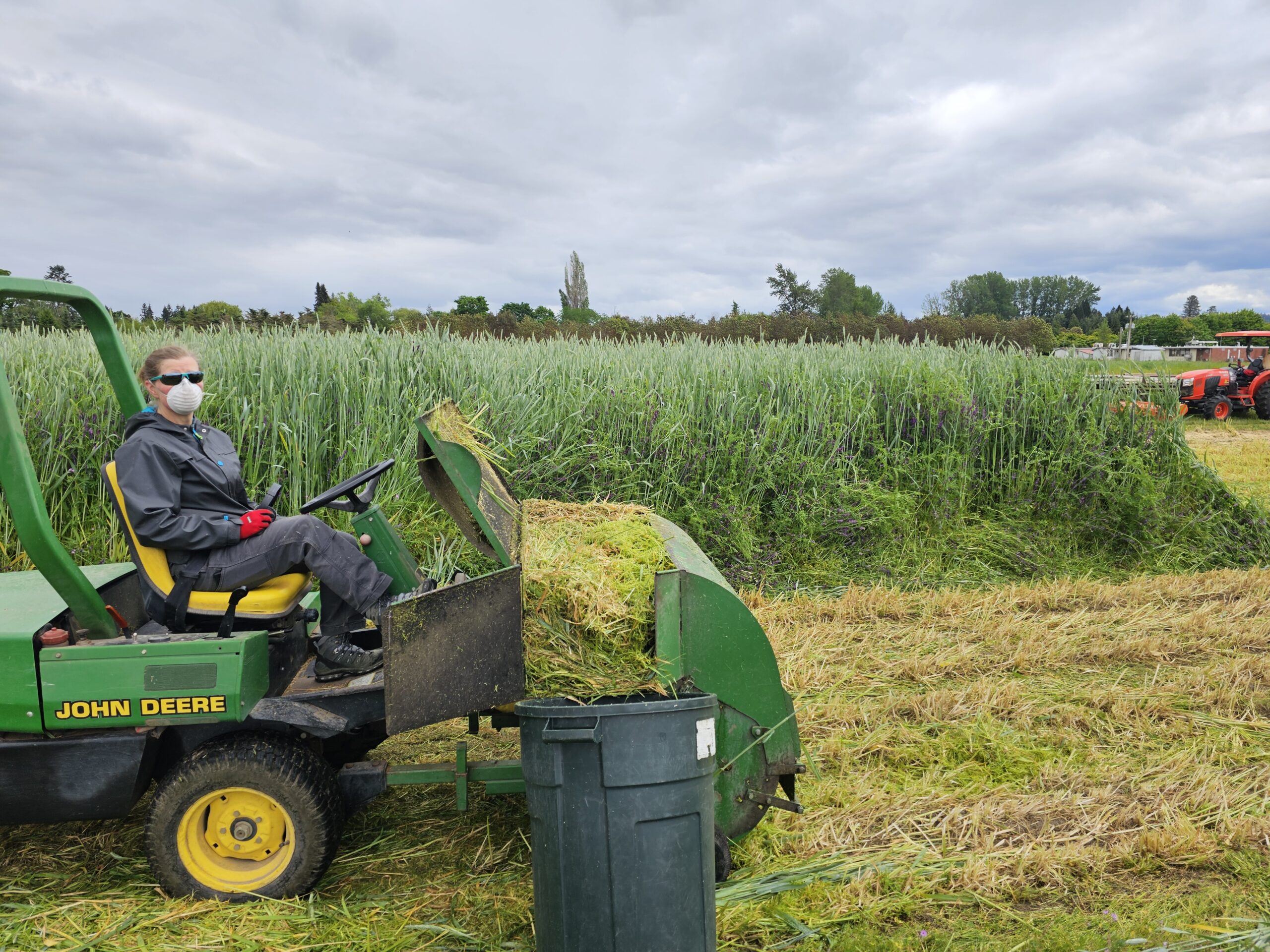Person sitting on a tractor with cover crop biomass collected in a bin to weigh.
