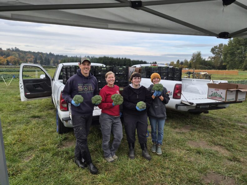 Four people holding harvested broccoli heads in a farm field with crates of broccoli in the background.