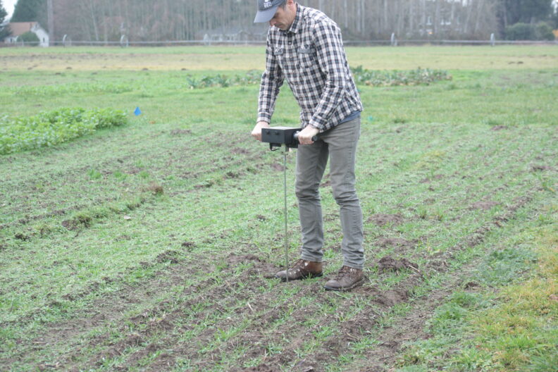 Researcher assessing soil compaction with a penetrometer