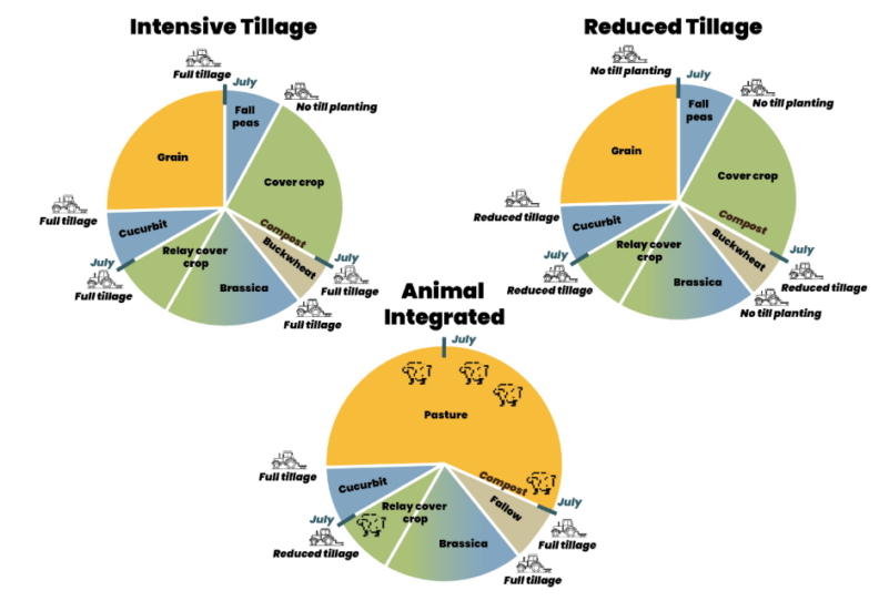 Three crop-rotation pie charts detail Intensive Tillage, Reduced Tillage, and Animal Integrated rotations of grain, fall peas, cover crop, compost, buckwheat, brassica, cover crop, fallow, pasture, and cucurbit. 