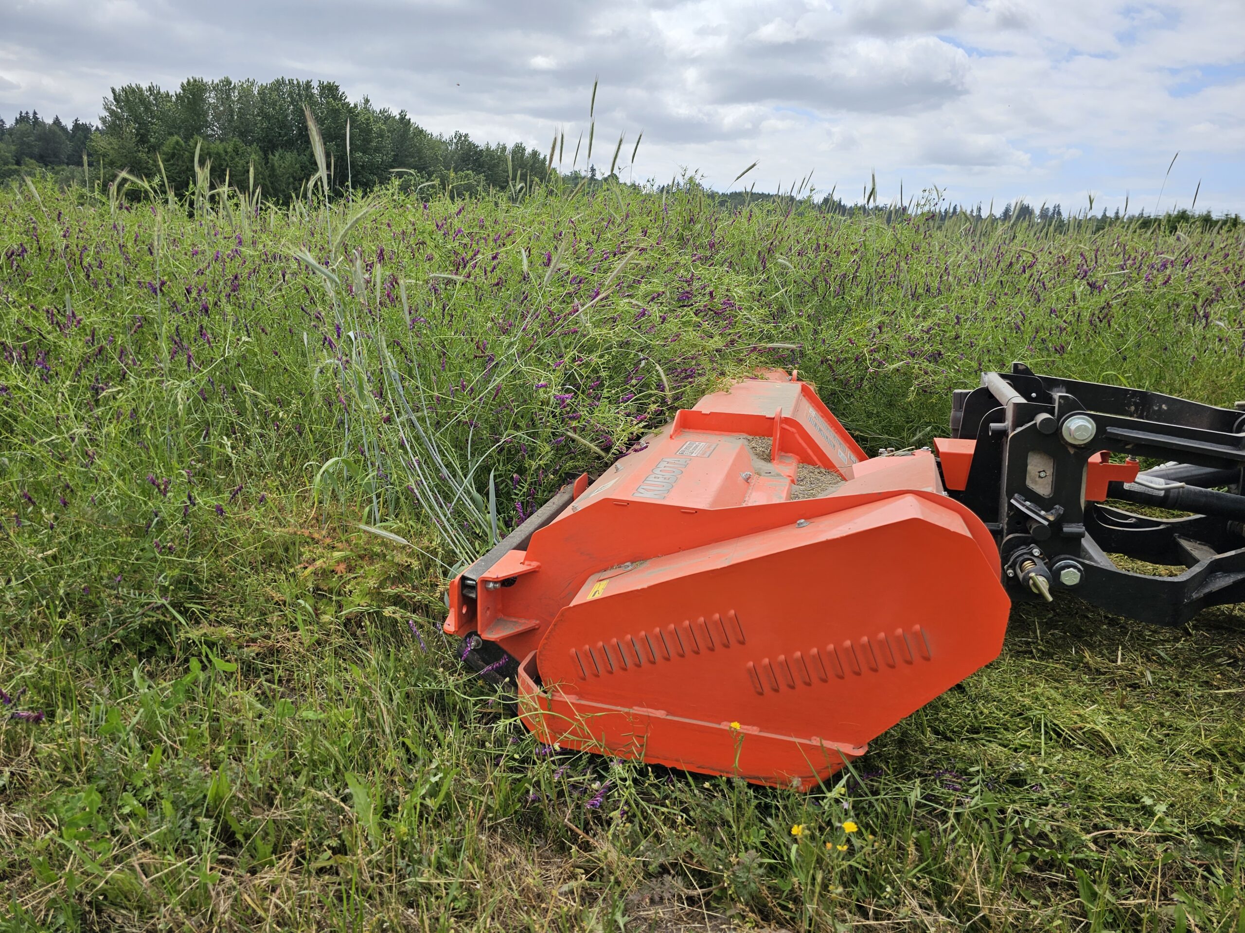 Front mounted roller crimper terminating a grass cover crop.
