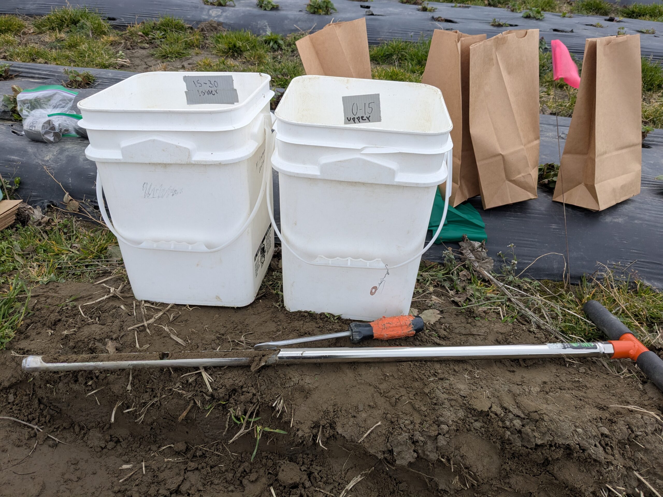 Soil probe, screwdriver, and prelabeled containers for collecting soil samples from 0-15 cm and 15-30 cm depths.