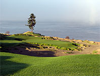 Chambers Bay 15