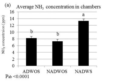 Bar graph showing ~40% increase in ammonia emissions when large particle solids are not removed from manure.