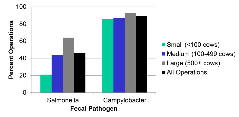 Bar graph of fecal pathogen positives by size of operation.