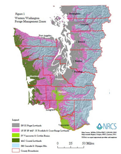 Color-coded map of western Washington counties.