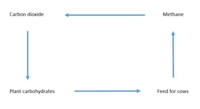 Cycle of Carbon dioxide to Plant carbohydrates to Feed for cows to Methane