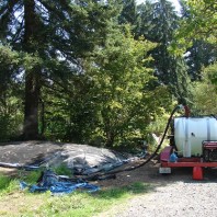 Soil disinfestation with steam.
