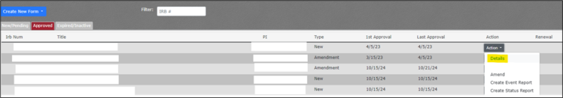Navigating to the Details page: highlight added for emphasis. Some information has been redacted from this image.