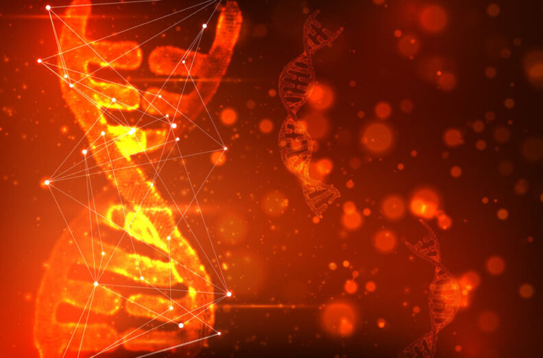 First invented in 1994, DNA computers use DNA instead of electronics to process information
