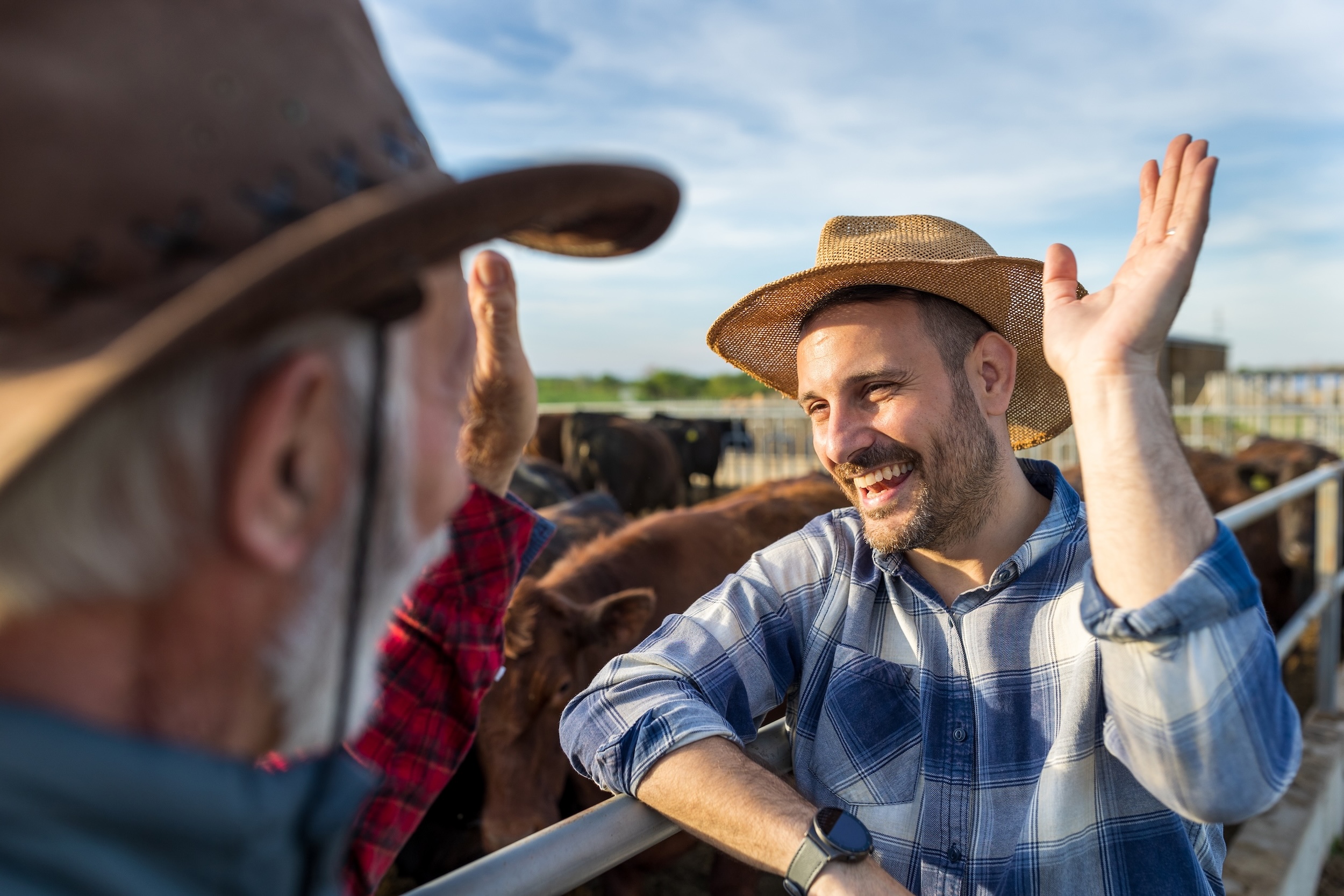 Farmers greeting each other on a cow ranch