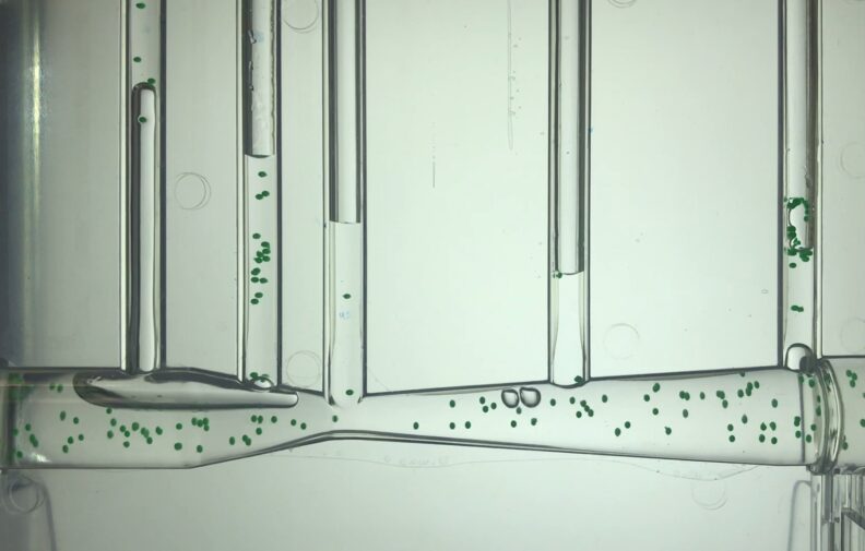 A closeup image of a Desktop Learning Module