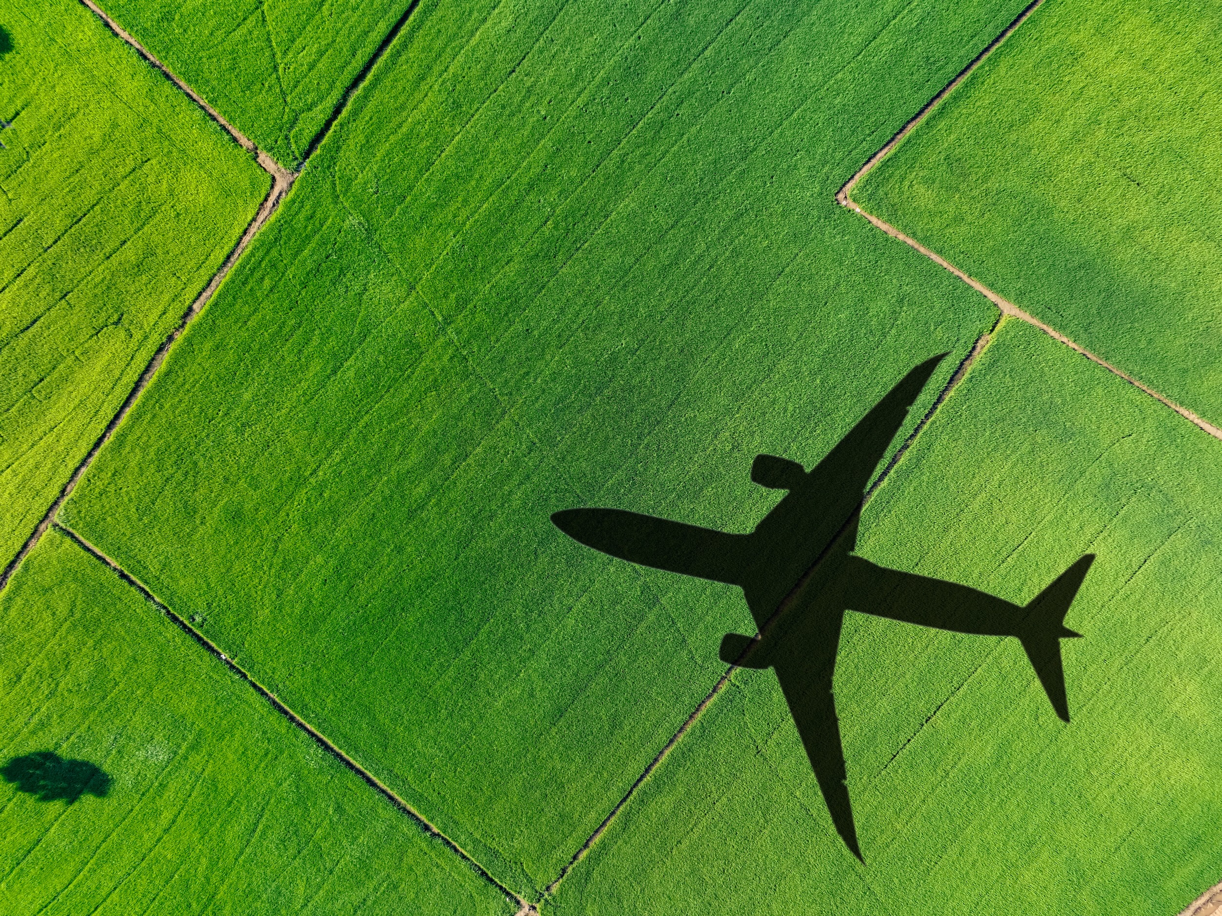 Shadow of a jet airplane flying above green field.