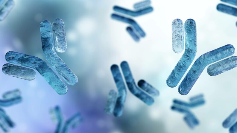 Artist's rendering of antibodies.