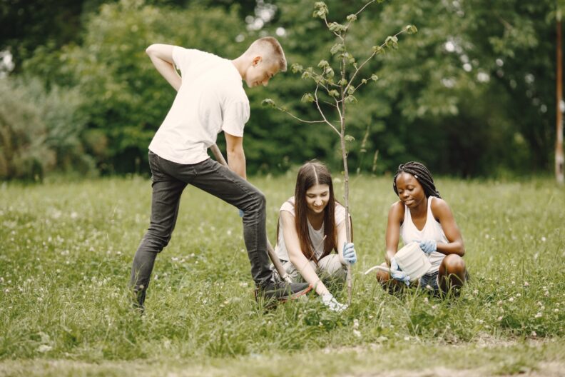 Students planting a tree in a park.