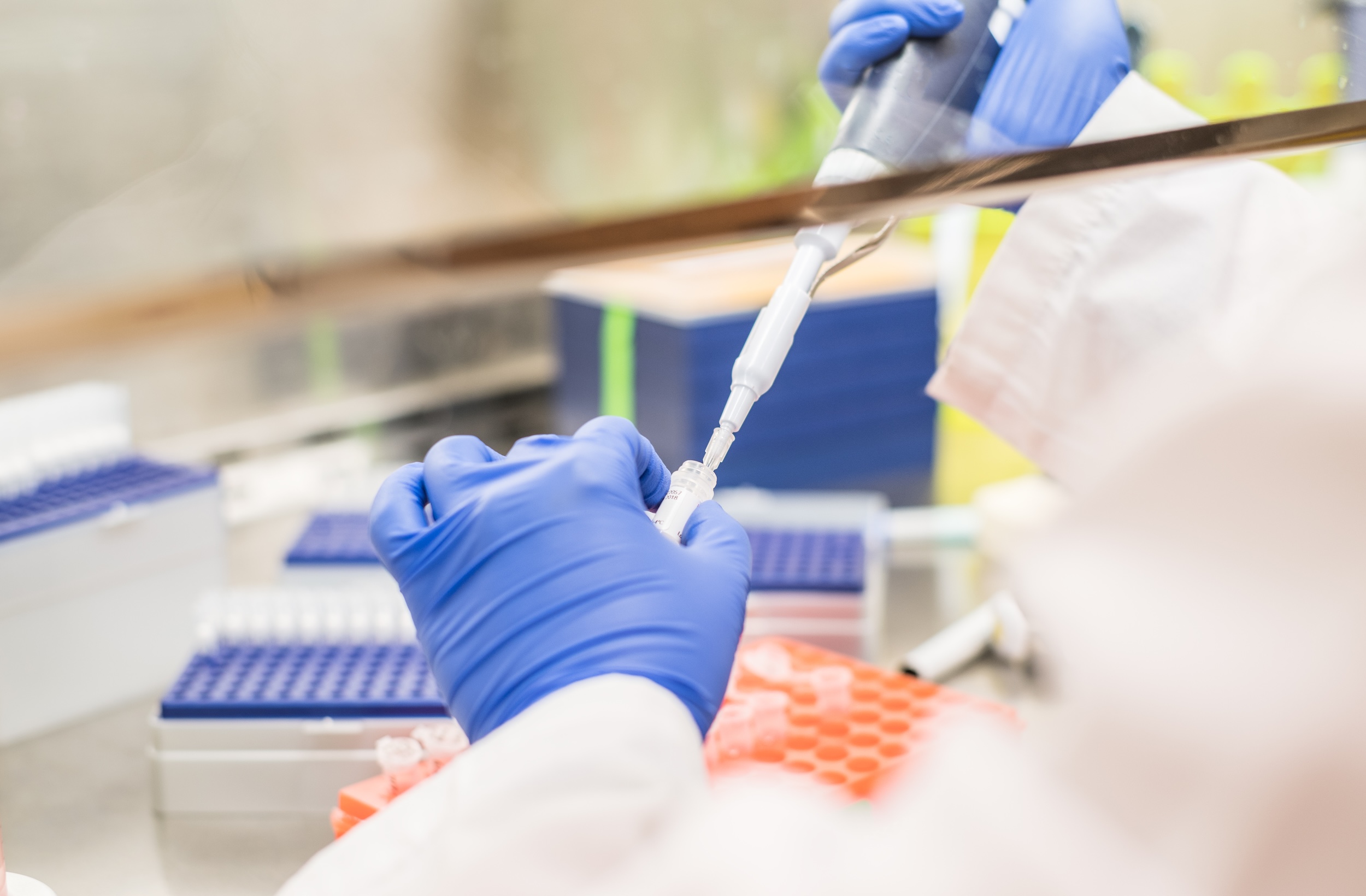 Researcher working in the biosafety cabinet