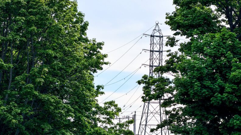 Power lines visible through trees