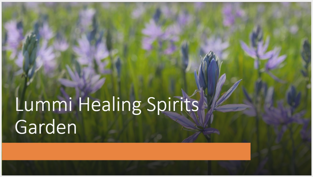"Lummi Healing Spirits Garden" flyer.