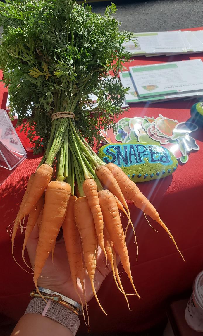 Hand holding a bunch of carrots in front of a table with SNAP-Ed logo, stickers, and recipes