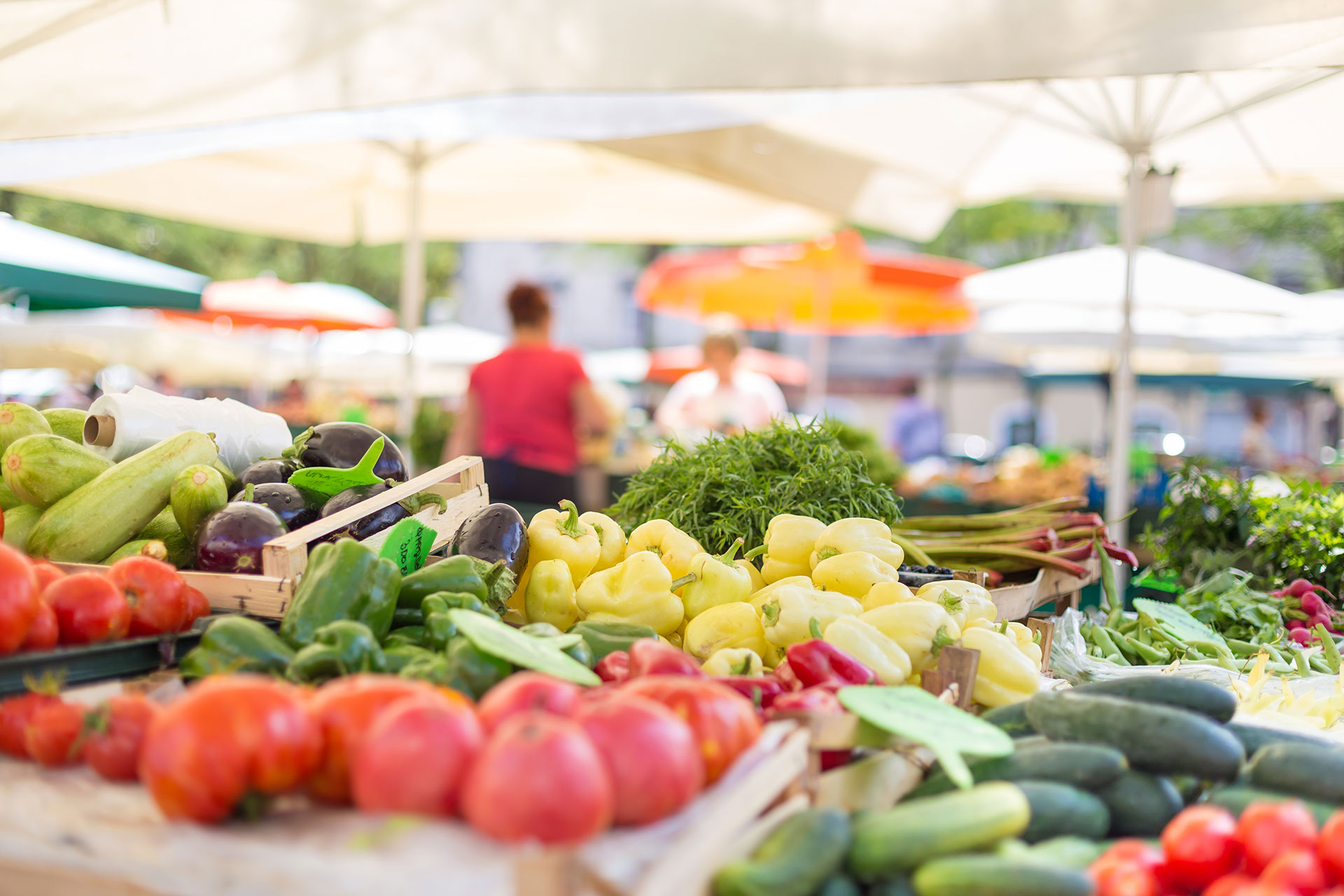 A display of vegetables at a farmers market.