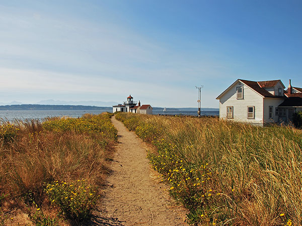 Trail leading to the ocean with tall grass on each side of the trail. 