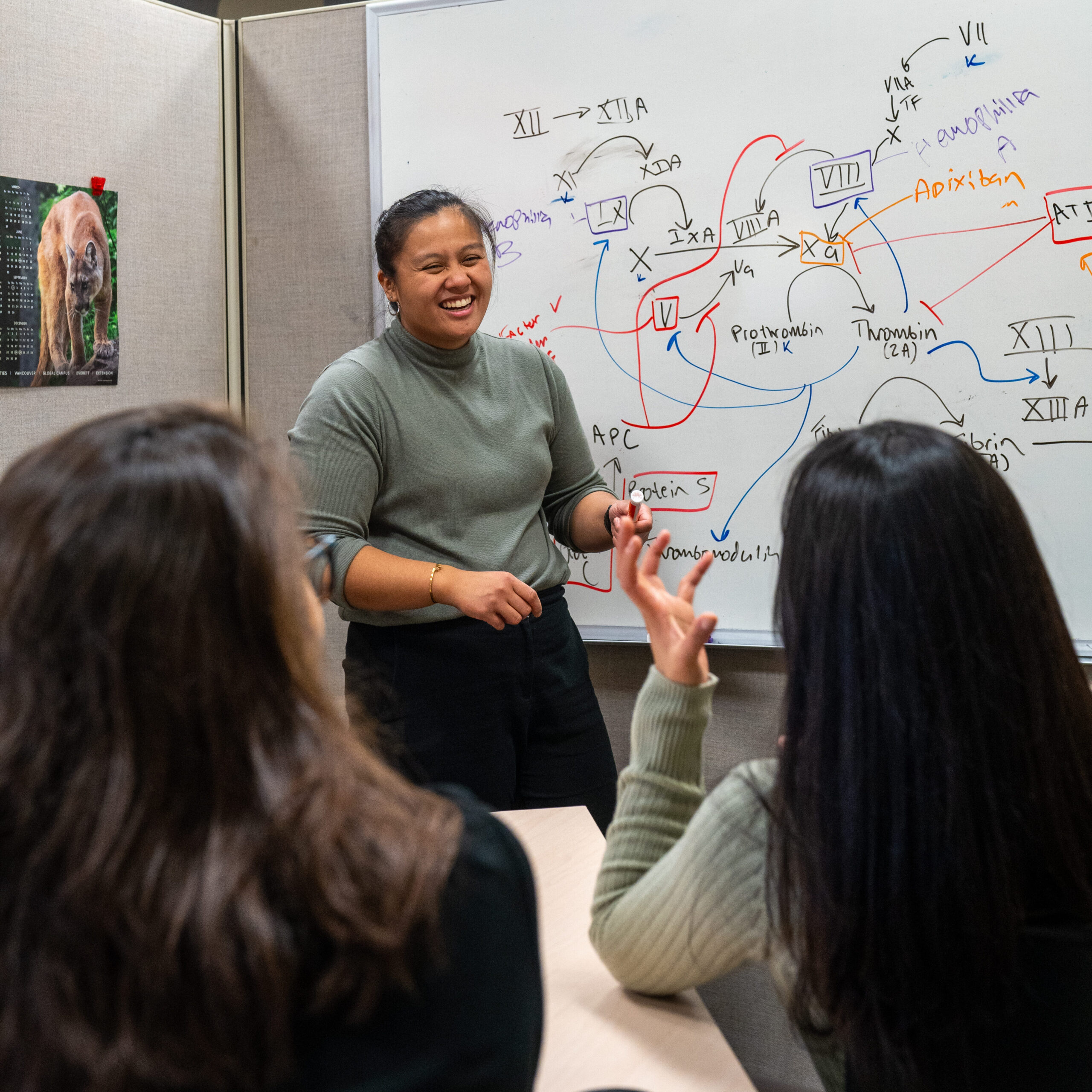 Students in the center for native american health discussing near whiteboard