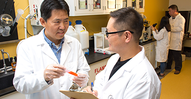 Dr. Wang working in his lab
