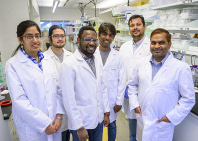 Gaddameedhi lab research team: Jinita Modasia, Kenneth Porter, Panshak Dakup, Bala Koritala, Soumyadeep Sarkar, and Shobhan Gaddameedhi