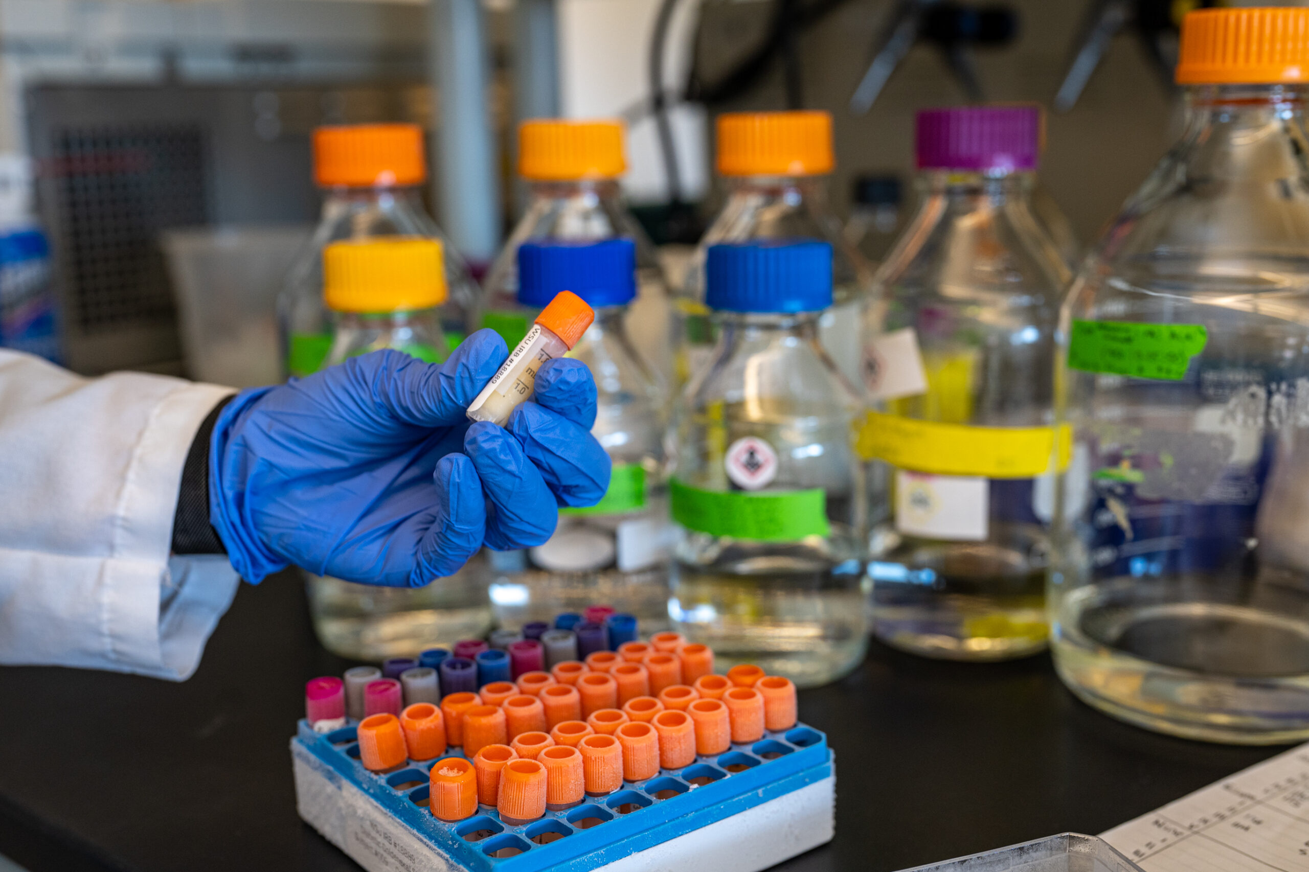 599 Project Doctor of Pharmacy Electives