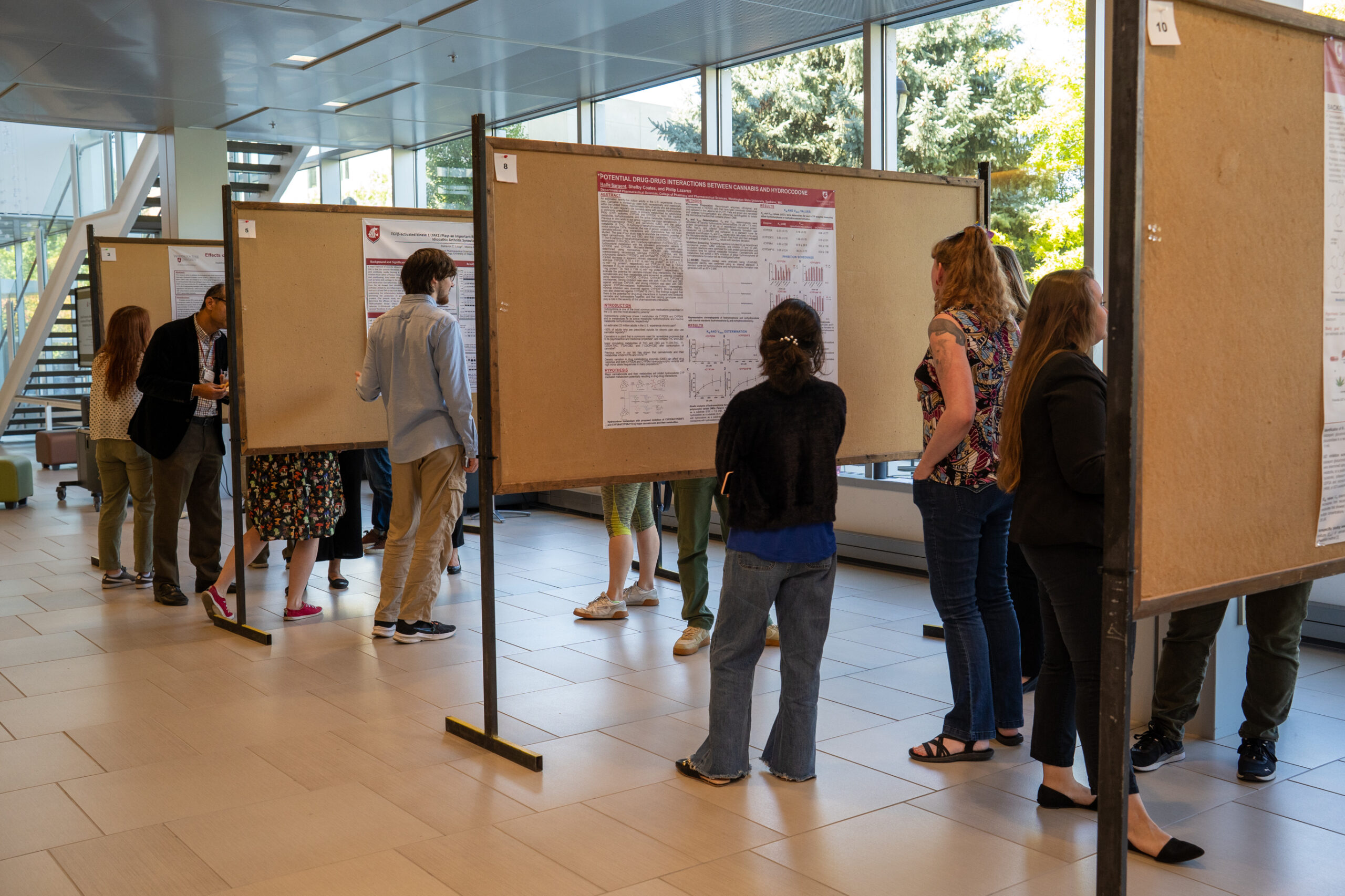 499 Independent Study Doctor of Pharmacy Electives