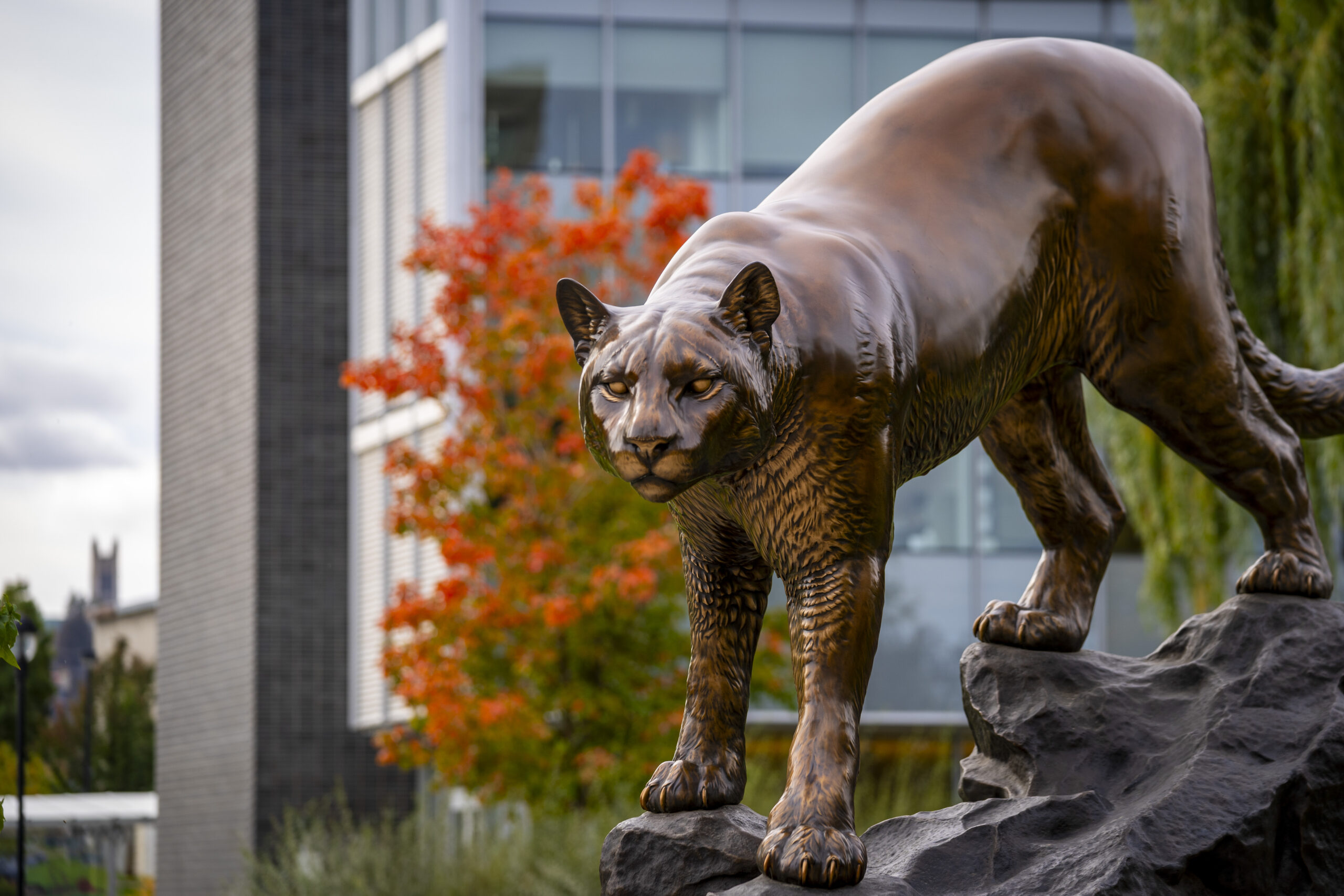 Cougar statue outdoors with fall foliage in the background