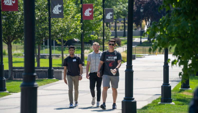 Pharmacy students walk across campus on a sunny August day during orientation week