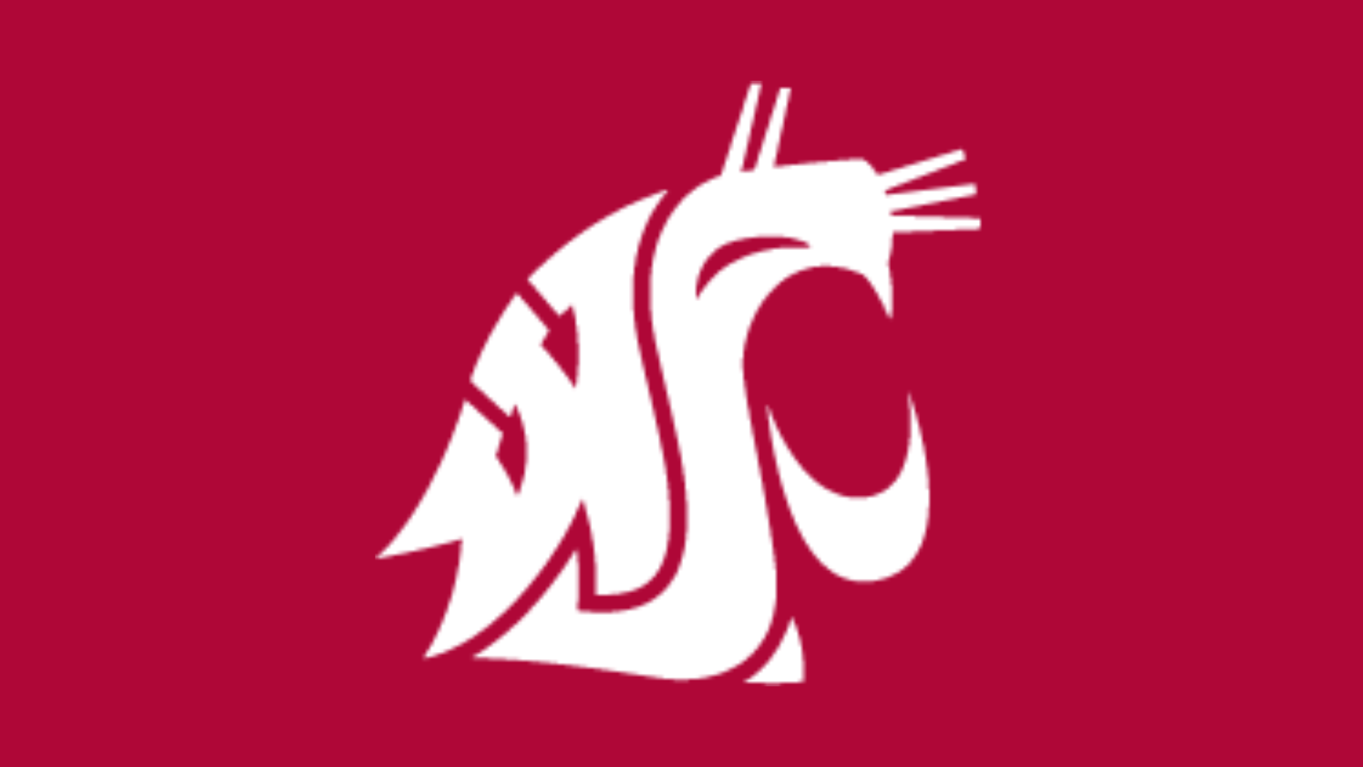 White Cougar head logo on a crimson background used to fill in for individuals who do not have photos.