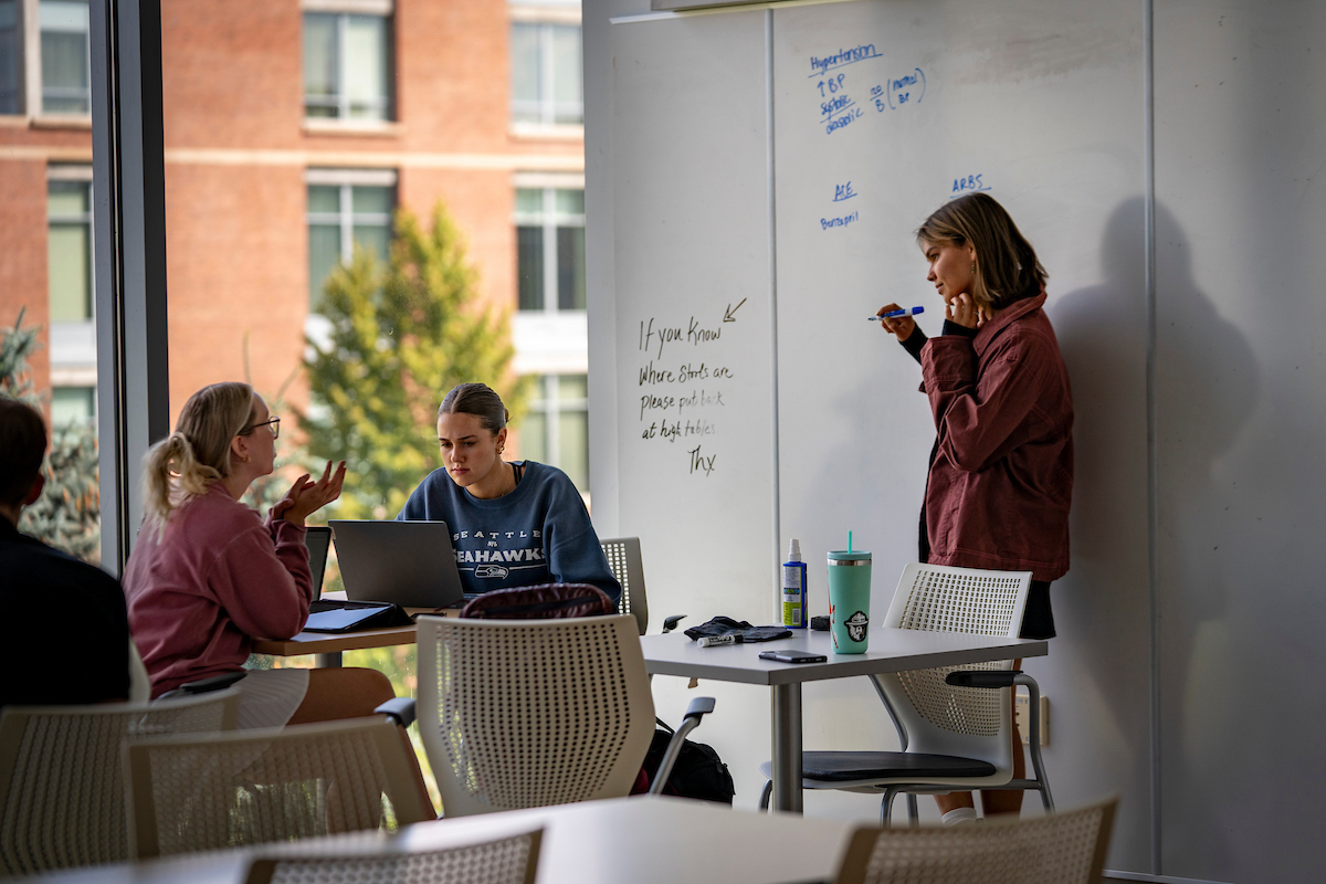 Pharmacy students studying
