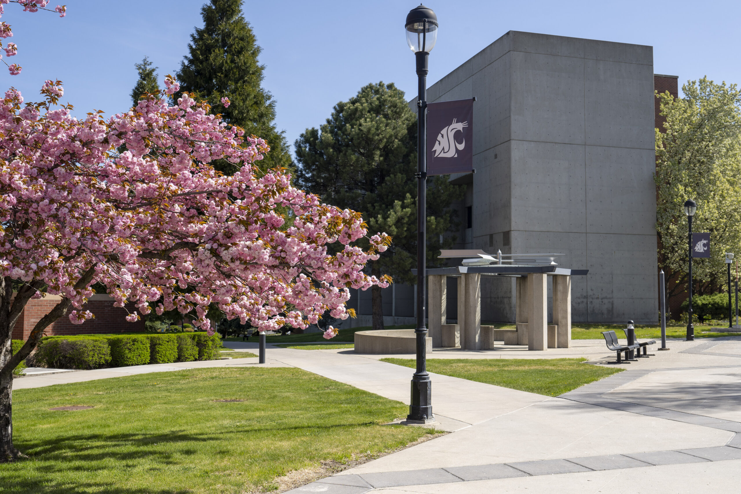 WSU Medicine building on campus