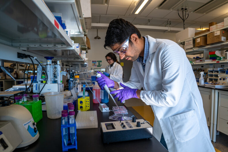 Academic scientific research laboratory