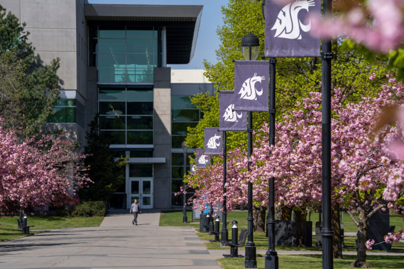 Spring on campus