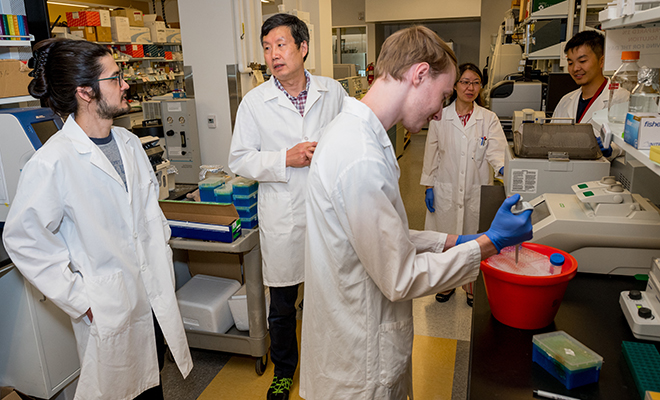 Jiyue Zhu (second from left) talks to members of his research team inside his laboratory on the WSU Health Sciences Spokane campus, including Ken Porter (far left), Sean Mcgranaghan (center), Fan Zhang (second from right), and Jinlong Zhang (far right).