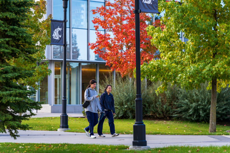 Two students walking on campus with leaves turning.